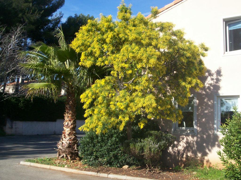 Stars Antibes Hotell Biot Eksteriør bilde